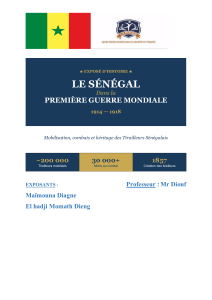 Le S&eacute;n&eacute;gal dans la Premi&egrave;re Guerre Mondiale 1914-1918