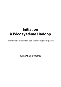 ebook Initiation &agrave; l &eacute;cosyst&egrave;me Hadoop V2