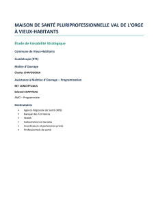 &Eacute;tude de faisabilit&eacute; Maison de Sant&eacute; Val de l'Orge Vieux-Habitants