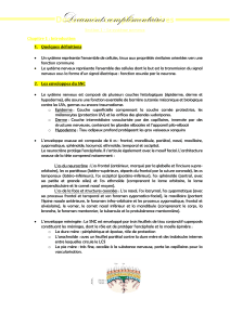 Documents compl&eacute;mentaires : Introduction au syst&egrave;me nerveux