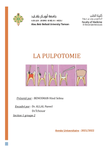 La Pulpotomie : Proc&eacute;dure Dentaire, Indications et Techniques