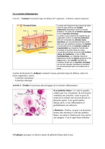 Activit&eacute; la phagocytose