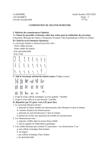 Composition de Biologie: Caryotype et Cycle Cellulaire