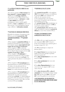 R&eacute;sum&eacute; du Tissu Nerveux : Structure, Potentiels et Synapses