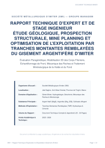 Rapport Technique Mine d'Argent Imiter : &Eacute;tude G&eacute;ologique & Planification Mini&egrave;re