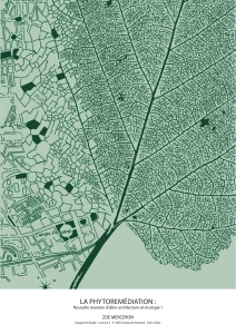 La Phytorem&eacute;diation : Allier Architecture et &Eacute;cologie ?