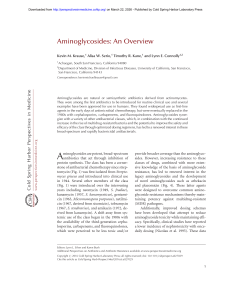 Aminoglycosides: An Overview