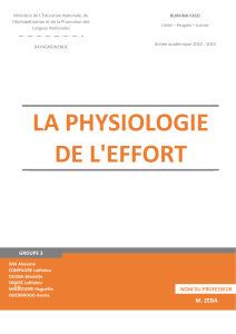Physiologie de l'Effort - Syst&egrave;mes &Eacute;nerg&eacute;tiques, Adaptations, Performance