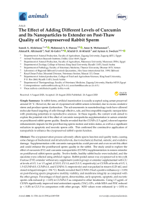 Effect of Curcumin Nanoparticles on Rabbit Sperm Cryopreservation