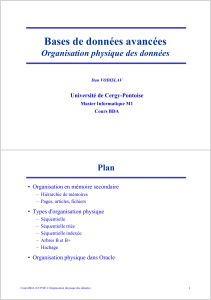 Organisation physique des donn&eacute;es en bases de donn&eacute;es avanc&eacute;es