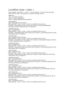 Le pr&eacute;fixe russe samo- : explication et exemples