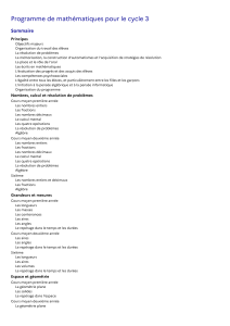 Programme de math&eacute;matiques pour le cycle 3