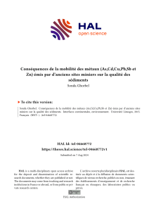 Cons&eacute;quences de la mobilit&eacute; des m&eacute;taux sur la qualit&eacute; des s&eacute;diments