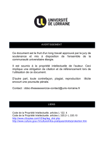 Th&egrave;se sur la prise en charge multidisciplinaire des acouph&egrave;nes, 2014