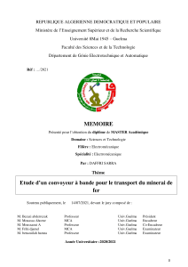 M&eacute;moire Master : Convoyeur &agrave; bande pour minerai de fer