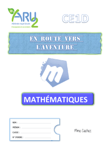 Cahier d'exercices Math&eacute;matiques CE1D ARU2