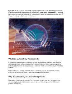 Vulnerability Assessment Guide