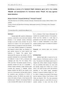 Identification of xa5 Gene in Rice IR62266 and PAxa5 Marker Development