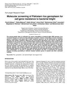 Molecular Screening of Pakistani Rice Germplasm for xa5 Gene Resistance to Bacterial Blight
