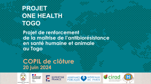 Projet One Health Togo : Contr&ocirc;le de l'antibior&eacute;sistance humaine et animale