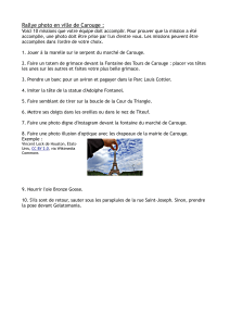 Rallye photo Carouge: 10 missions amusantes
