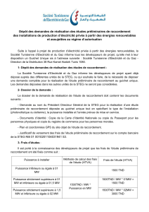 Guide de d&eacute;p&ocirc;t des &eacute;tudes de raccordement - STEG