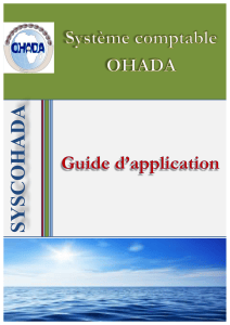 Guide d'application SYSCOHADA - Syst&egrave;me comptable OHADA