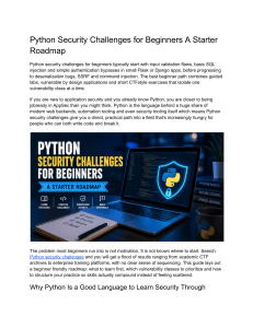 Python Security Challenges for Beginners: A Starter Roadmap