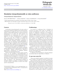Simulation interprofessionnelle en visio-conf&eacute;rence