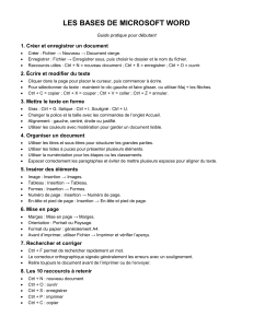 Guide pratique pour d&eacute;butants Microsoft Word