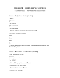 Examen Universitaire : Syst&egrave;mes d'Exploitation & Syst&egrave;me de Fichiers