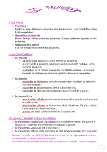 Anatomie des Paupi&egrave;res : R&ocirc;les, Composition, Mouvements, Pathologies