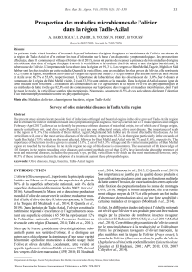 Prospection des maladies microbiennes de l'olivier dans la r&eacute;gion Tadla-Azilal