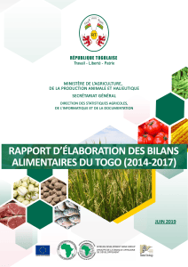 Rapport Bilans Alimentaires Togo 2014-2017
