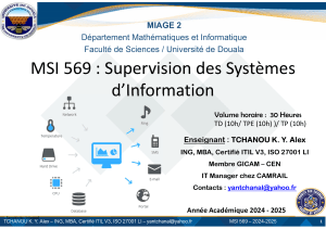 MSI 569 : Supervision des Syst&egrave;mes d'Information - Cours Universit&eacute; Douala