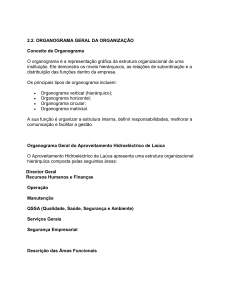 Organograma Geral da Organiza&ccedil;&atilde;o - Aproveitamento Hidroel&eacute;trico de La&uacute;ca