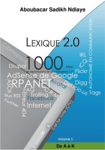 Lexique 2.0 : 1000 termes pour comprendre la civilisation 2.0