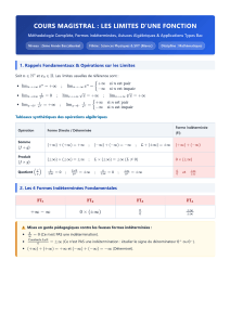 Limits of a Function: Lecture Notes