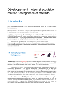 D&eacute;veloppement moteur et acquisition motrice : ontogen&egrave;se et motricit&eacute;