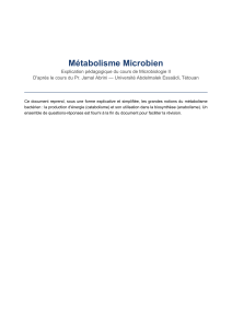 M&eacute;tabolisme Microbien : Cours de Microbiologie II