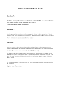 Devoir M&eacute;canique des Fluides : Exercices Hydrauliques