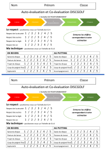 Auto-&eacute;valuation et Co-&eacute;valuation Disc Golf