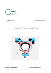 Transidentit&eacute; et pair aidance : m&eacute;moir de travailleur pair