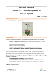 Activit&eacute; A14 : L'appareil digestif en 3D