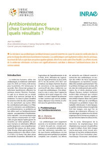Antibior&eacute;sistance chez l&rsquo;animal en France : quels r&eacute;sultats ?