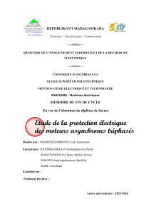 Protection &eacute;lectrique des moteurs asynchrones triphas&eacute;s