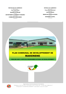 Plan de d&eacute;veloppement communal de Makenene 2011