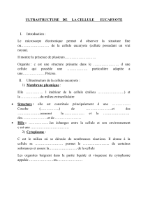 Ultrastructure de la cellule eucaryote : introduction et organites