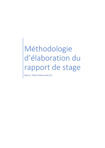 M&eacute;thodologie pour r&eacute;diger un rapport de stage