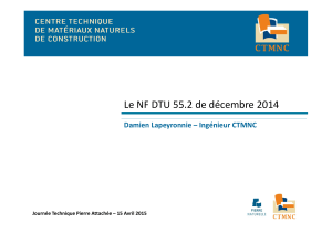 Pierre mince 5 DTU 55.2 D.LAPEYRONNIE JT CTMNC 15-04-2015